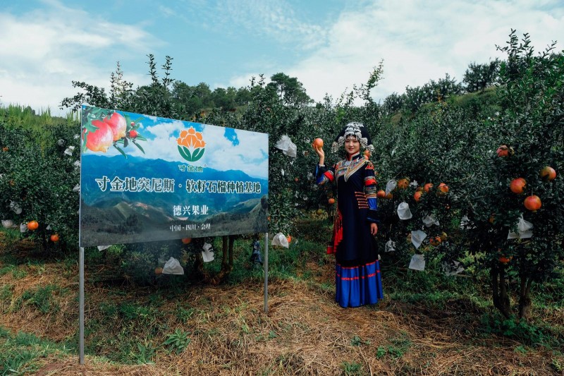 20180817124347_b73285e7c33c3ce1f939dd002a3e378c_8